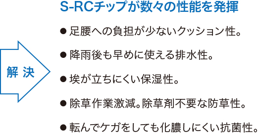 S-RCチップが数々の性能を発揮